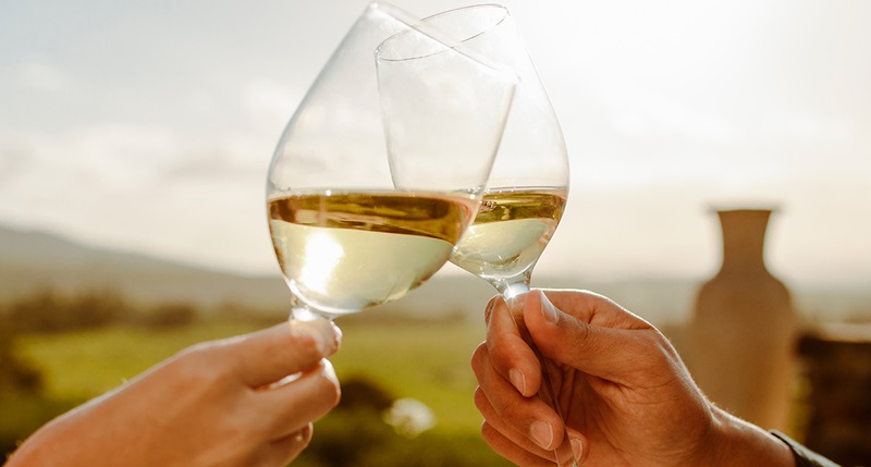 A melhor rota para explorar a regio vincola de Lisboa